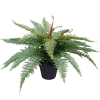 Thumbnail for Artificial Potted Fishtail Fern 55cm -