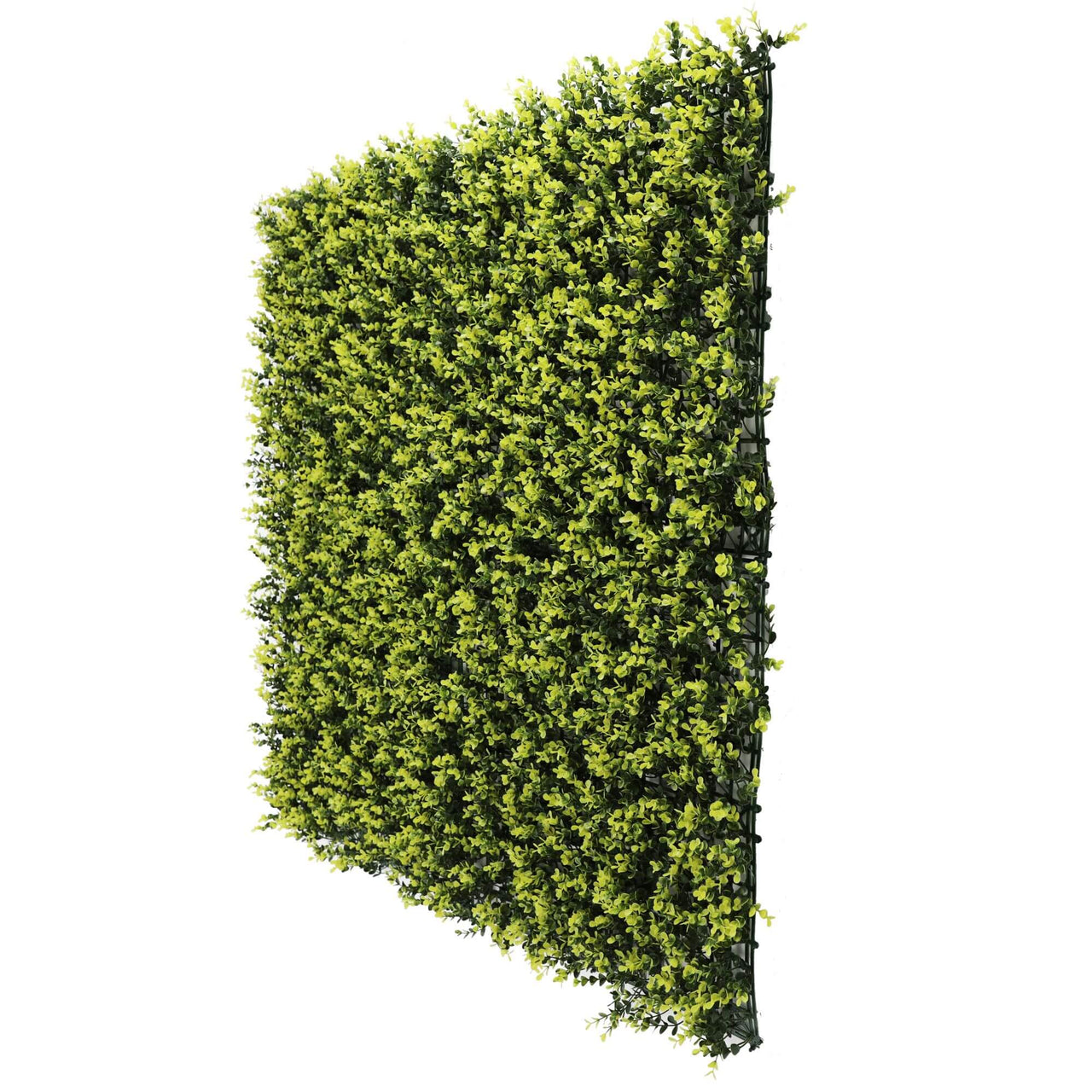 Yellow English Artificial Boxwood Wall 40" X 40" 11SQ FT UV Resistant -