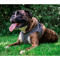 Thumbnail for Instachew - PETKIT Air Fly Dog Harness - 4 SIZES -