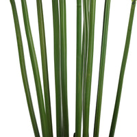 Thumbnail for Artificial Multi Stem Hawaii Palm 190cm -