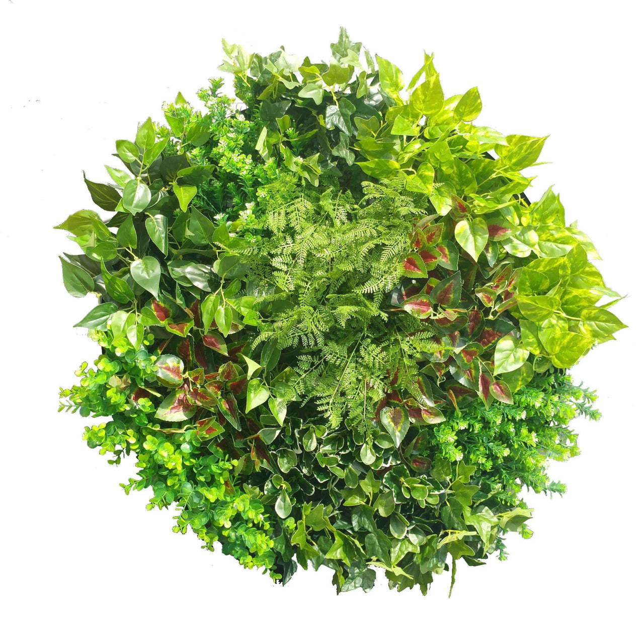 80cm Colour Splash Artificial Vertical Garden Wall Art Disc -