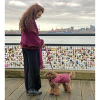 Thumbnail for Puccissime - Burgundy Rain Matching Leash -