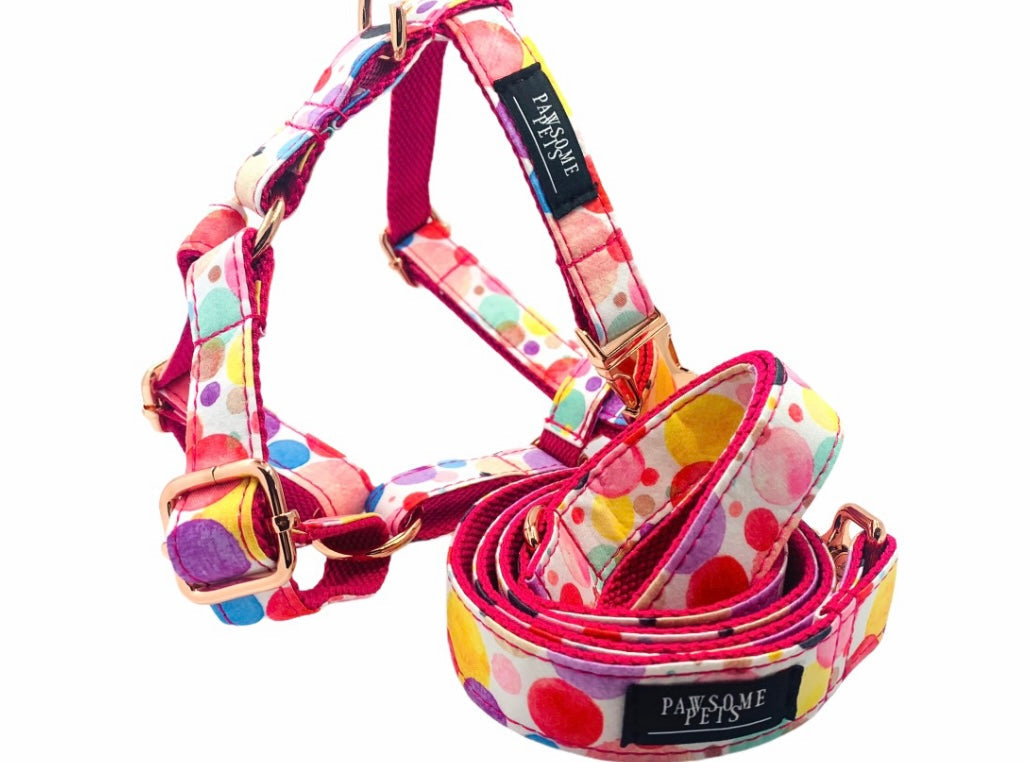 Step in Harness - Oh My Bubbles - 5 SIZES - HARNESS ONLY OR SET -