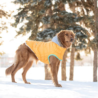 Thumbnail for Winter Sailor Parka - Yellow - 9 SIZES - 1 COLOR -