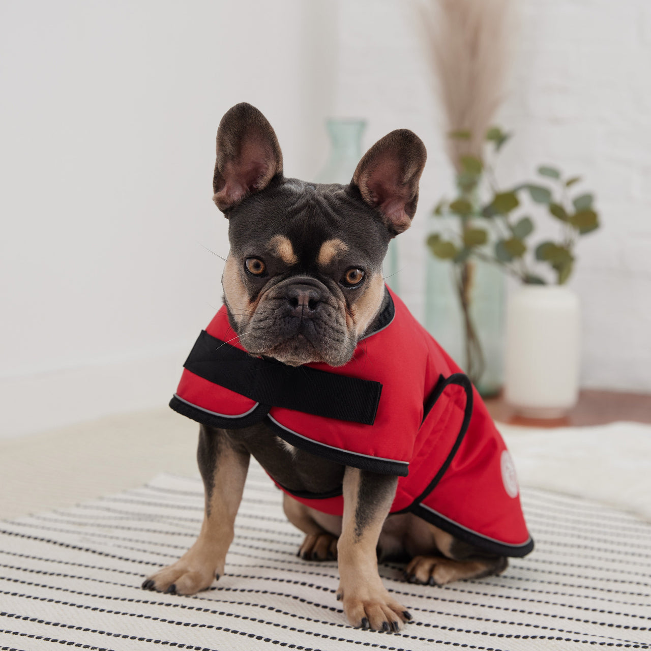 Dog Blanket Jacket - Red - 7 SIZES - 1 COLOR -