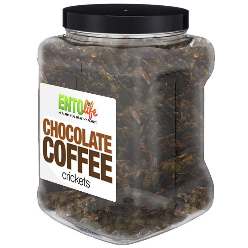 Chocolate Coffee Flavored Cricket Snack - Pound Size - NOTHING SAYS PICK ME UP SNACK TIME BETTER! -