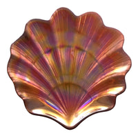 Thumbnail for Set/4 SCALLOP SHELL 8