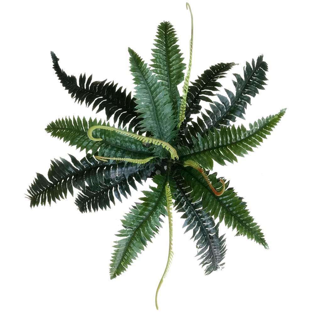 Artificial Dark Green Boston Fern 60cm -