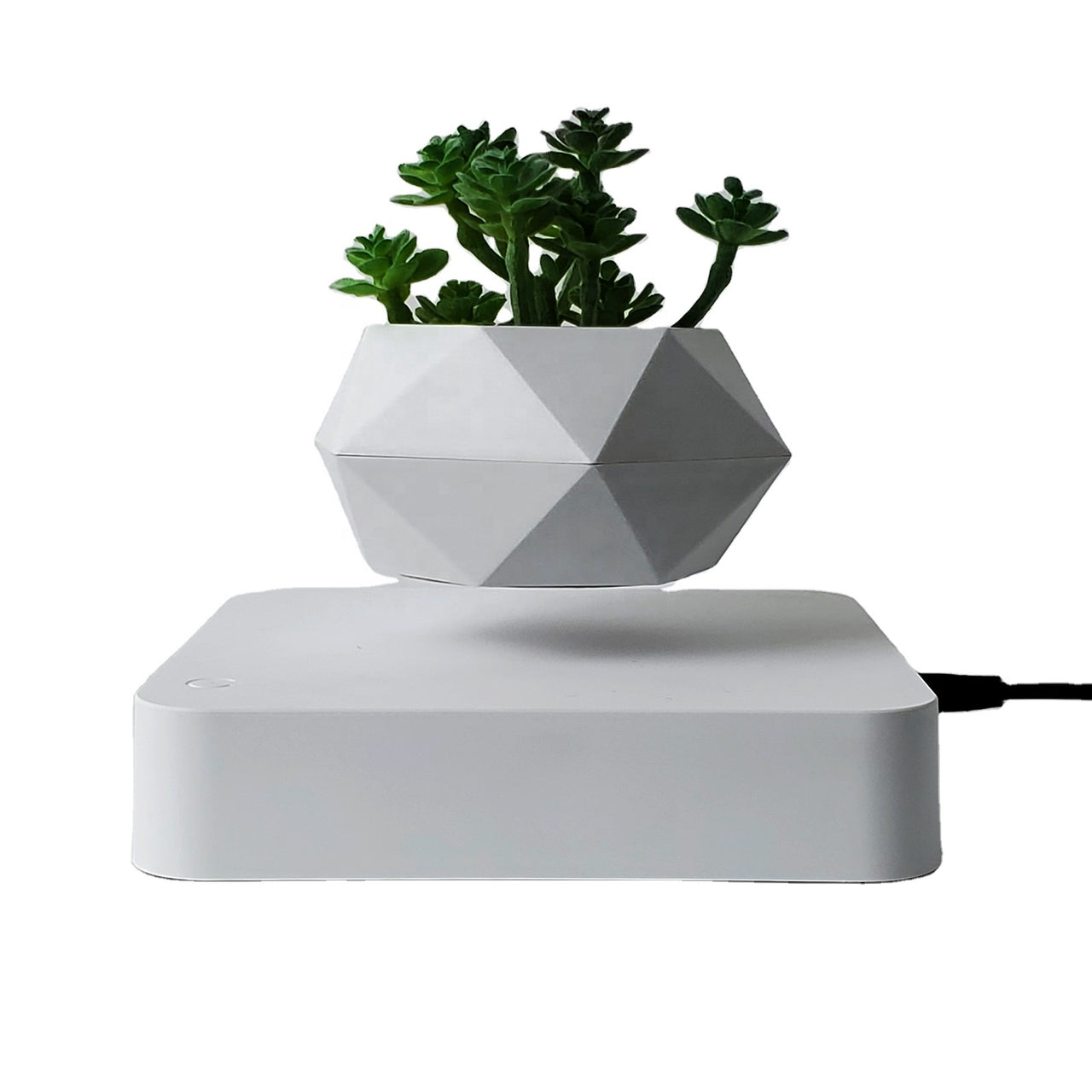 HCNT  New Design Magnetic Floating Levitating Flower Pot Plant Pot Bonsai - [13 DAY DELIVERY] -