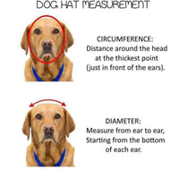 Thumbnail for Pets Cap Purple - 4 SIZES -