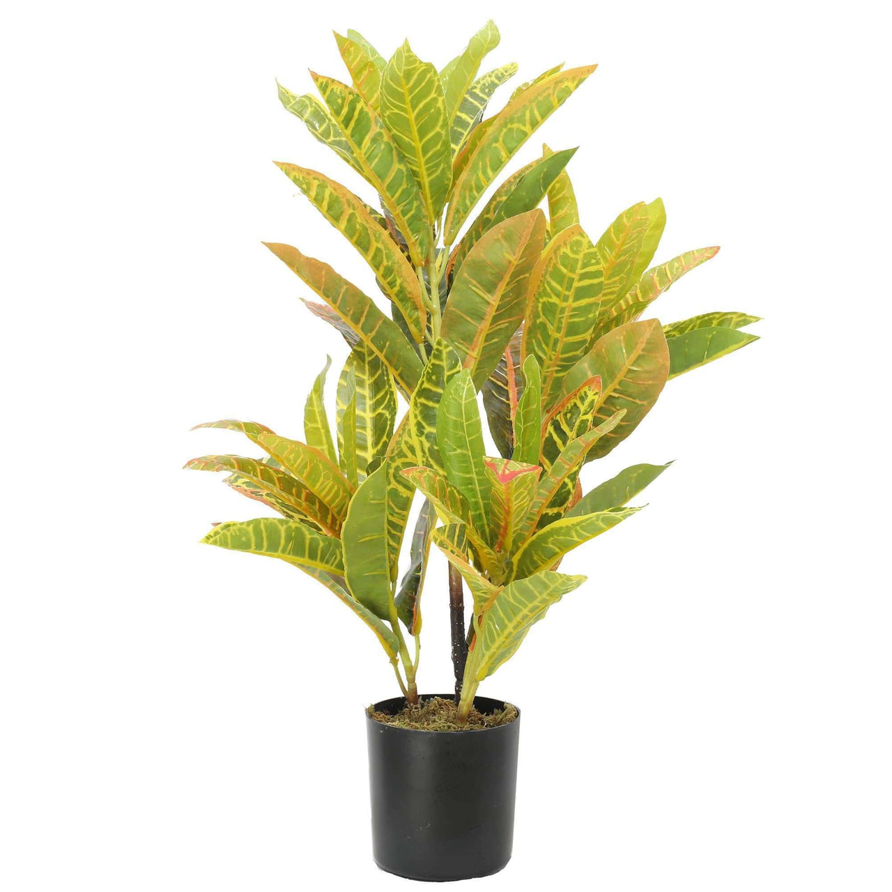 Artificial Potted Flaming Zebra (Codiaeum Variegatum / Crotons) 55cm -