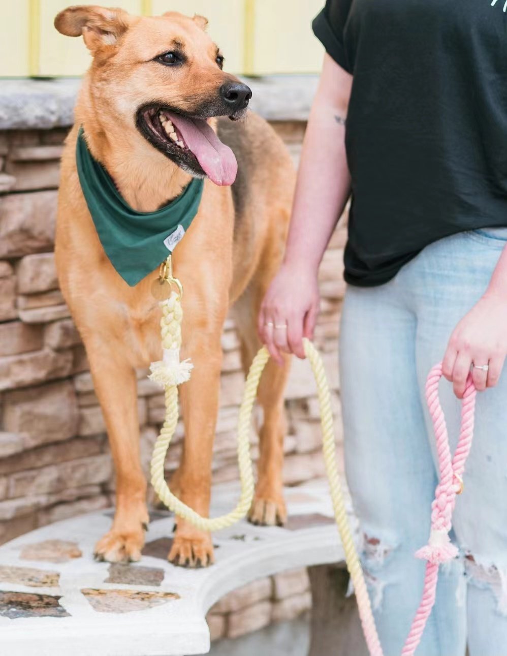 Dog Rope Leash - Watermelon Red -