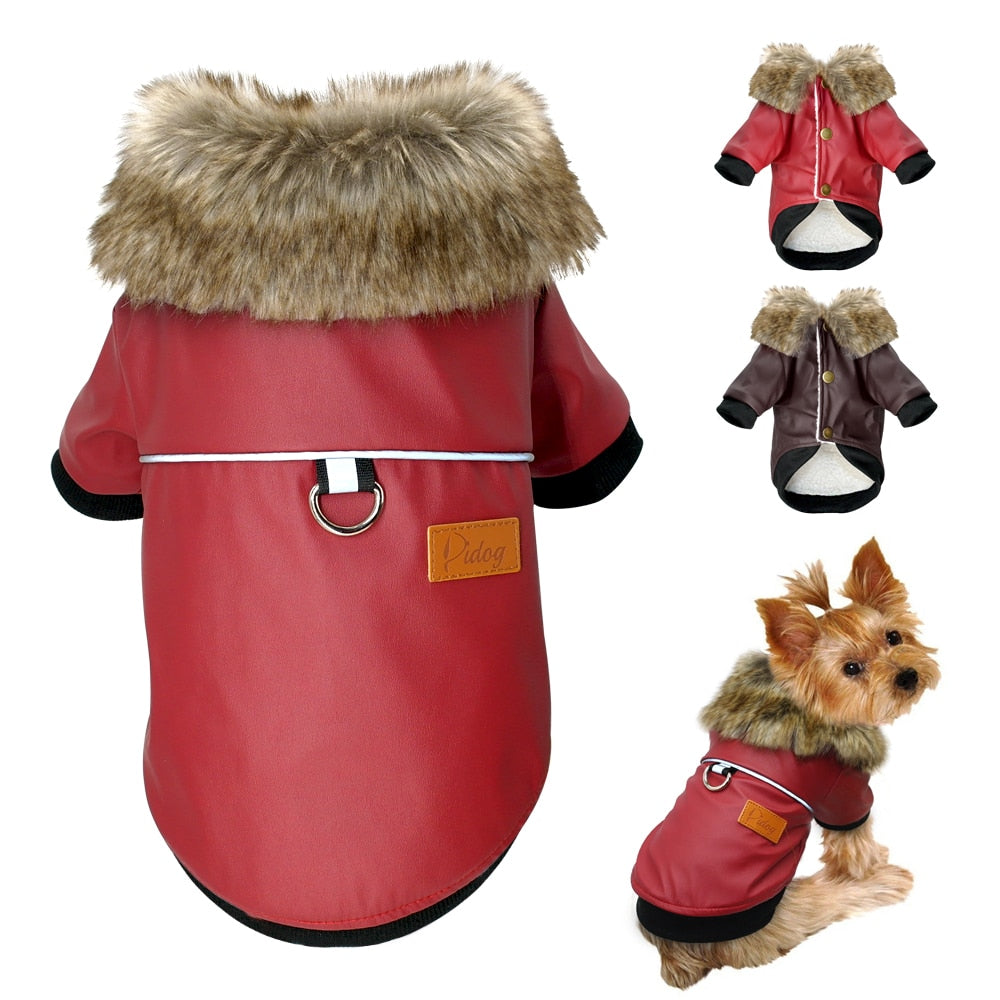 Dog Leather & Other styles Jacket / Coats - Warm Winter Pet Clothing Outfit - [23 DAY DELIVERY] - 6 SIZES / 7 STYLES / COLORS -