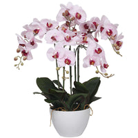 Thumbnail for 66cm Multi Stem Pink Butterfly Artificial Potted Orchid -