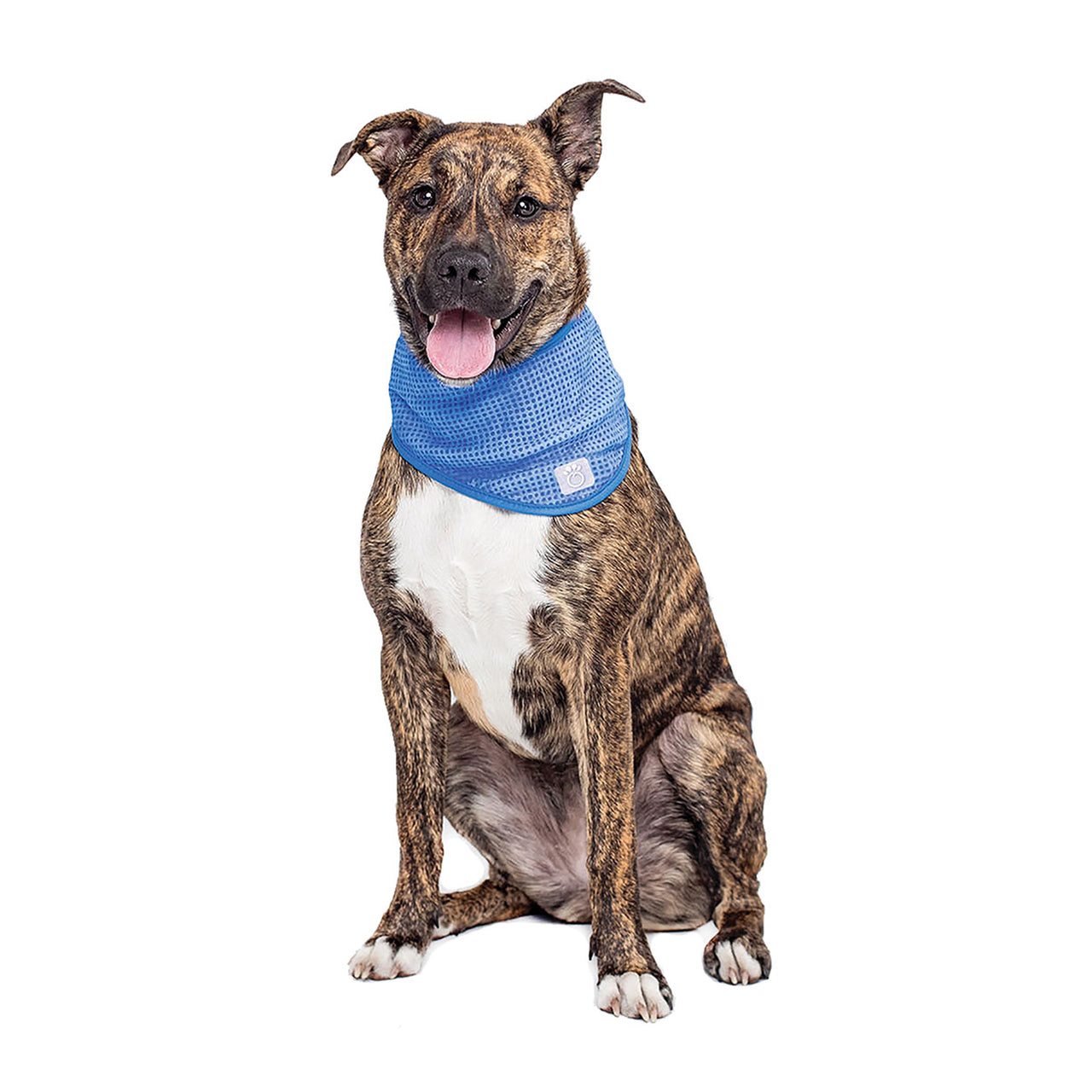 ICE BAND - Dog Cooling Bandana - 3 SIZES -