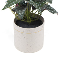 Thumbnail for Artificial Bergonia Plant in Decorative Bowl 30cm -