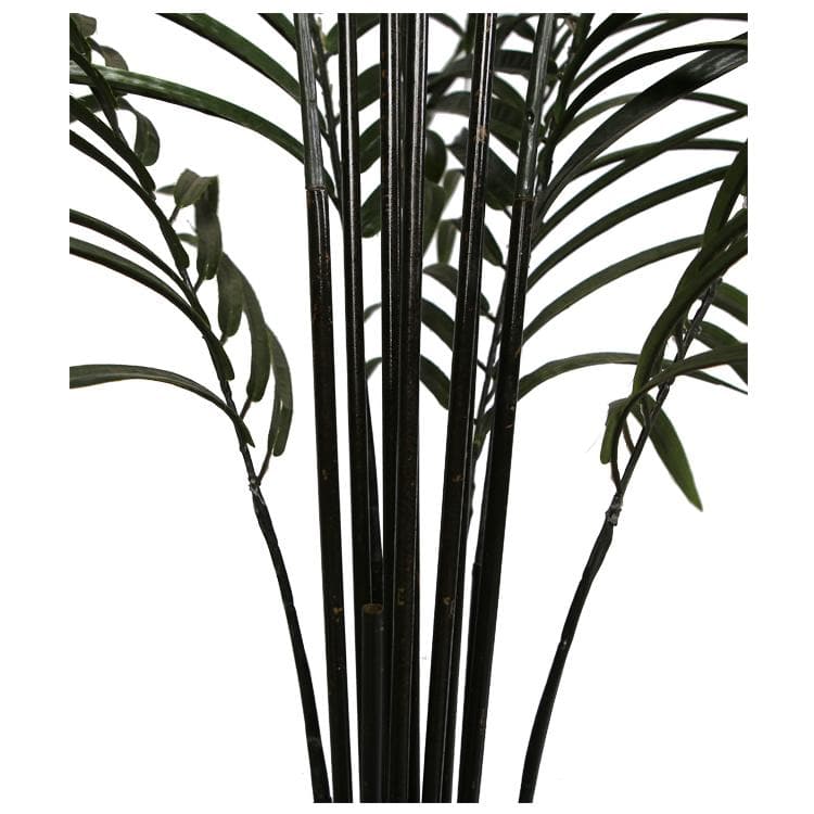 Artificial Areca Palm Black Trunks 190cm -