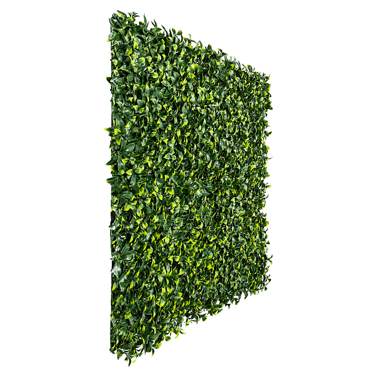 SAMPLE Panel of Jasmine Artificial Green Wall (Small Sample) UV Resistant -