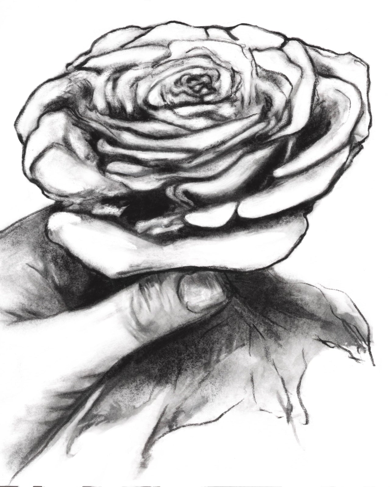 Rose in Hand Wall Art Print - 3 SIZES -