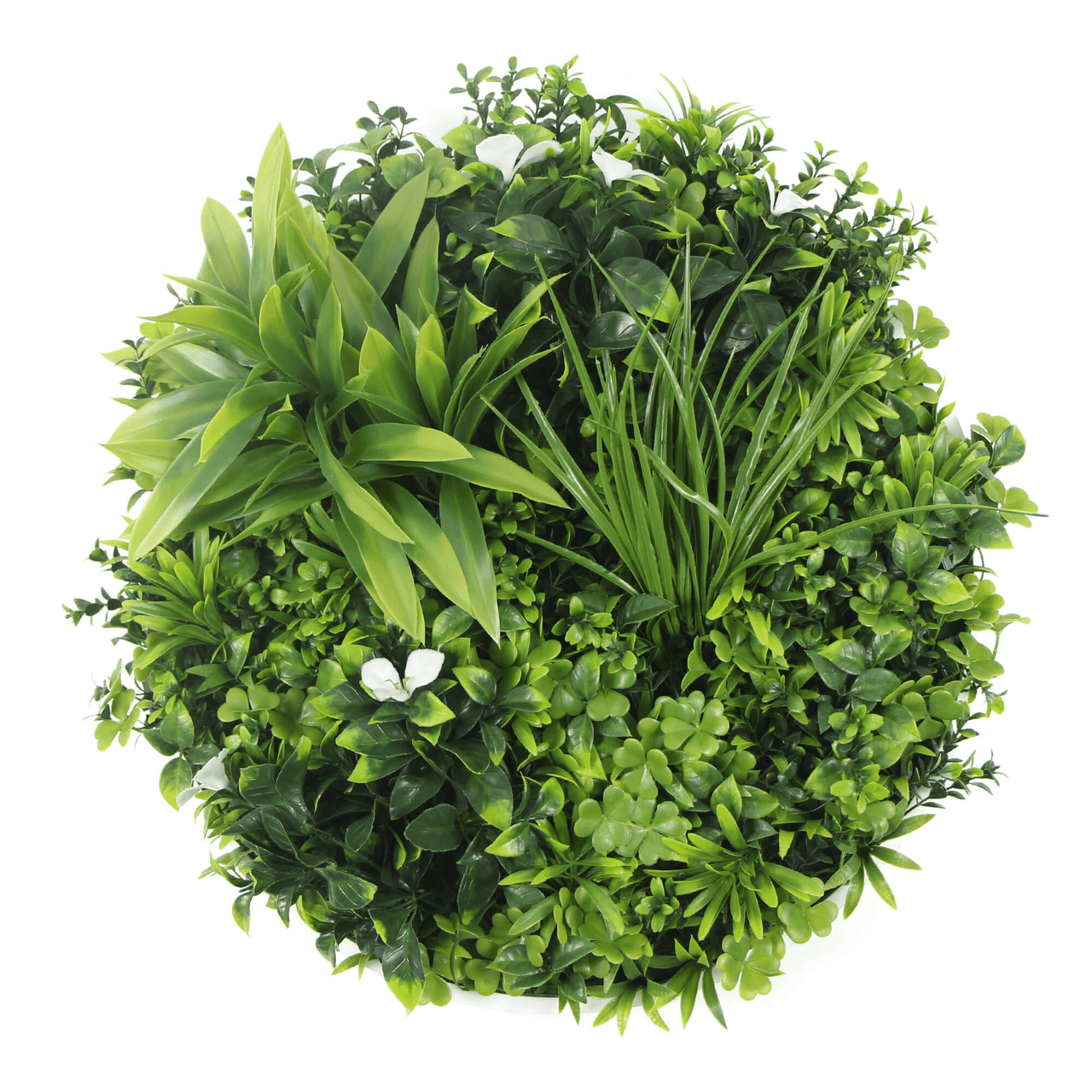 Luxury Artificial Green Wall Disc 20" White Frame UV Resistant