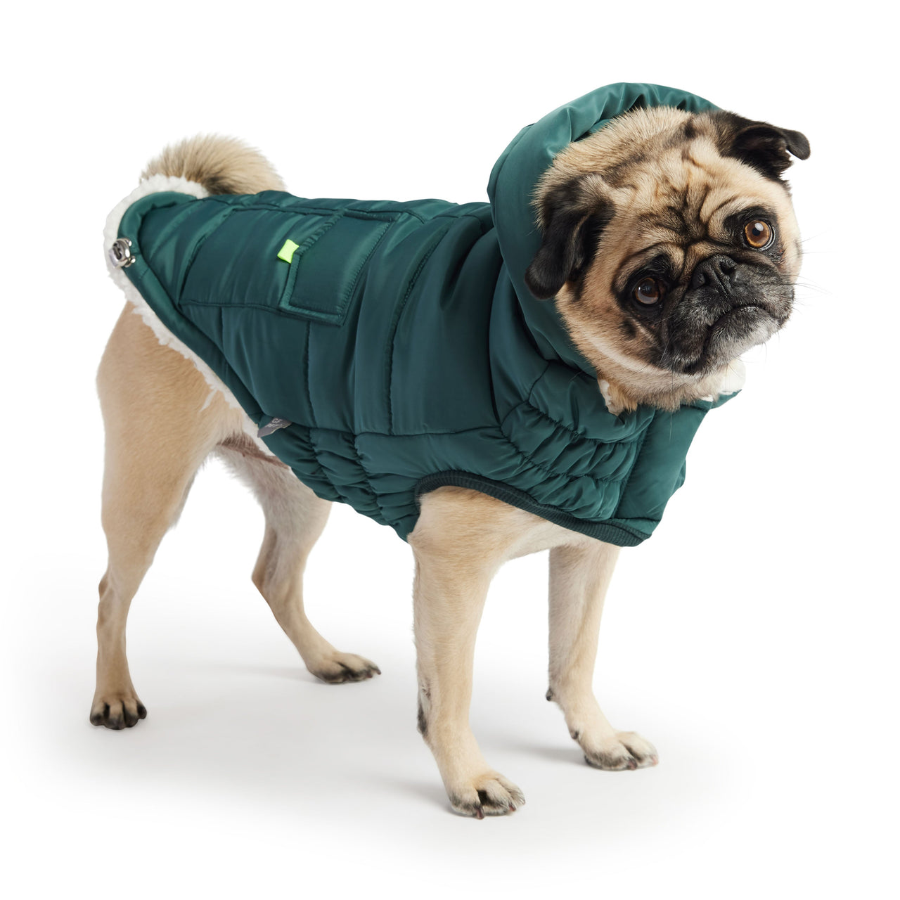 Super Puff Parka - Teal - 9 SIZES - 1 COLOR -