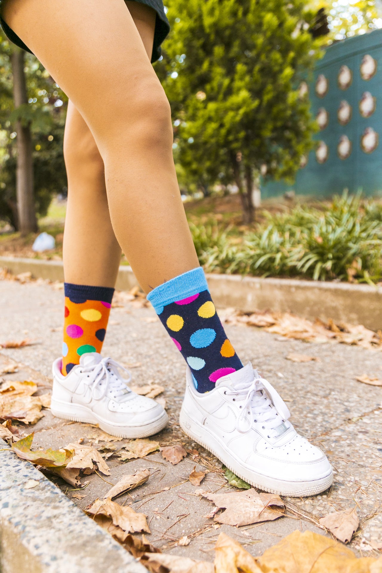 Women's Modern Dots Socks Set - 5 PACK -