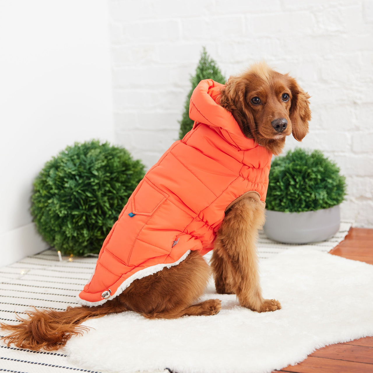 Super Puff Parka - Orange - 9 SIZES - 1 COLOR -