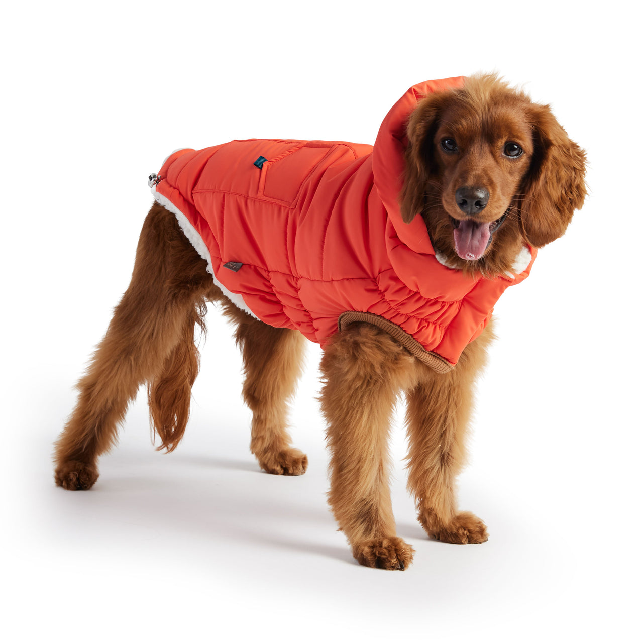 Super Puff Parka - Orange - 9 SIZES - 1 COLOR -