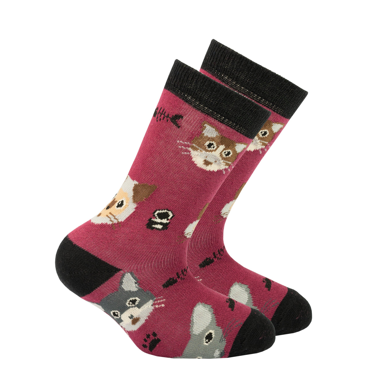 Kids Cute Cats Socks - 5 PACK -