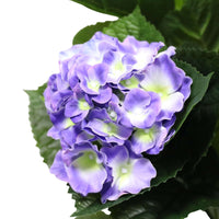 Thumbnail for Artificial Hydrangea 74cm Potted (Mixed Purples and Yellows) -