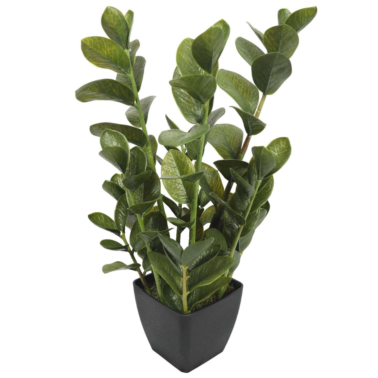 72cm Potted Multi Stem Faux Zanzibar -