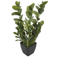 Thumbnail for 72cm Potted Multi Stem Faux Zanzibar -