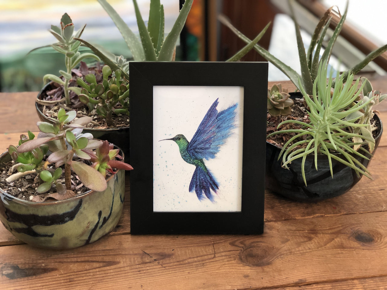 Hummingbird in Flight : Greeting Card - 5"X7" - 1 OR SET(6) -