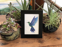 Thumbnail for Hummingbird in Flight : Greeting Card - 5