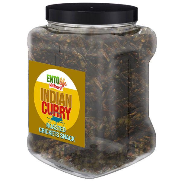 Indian Curry Flavored Cricket Snack - Pound Size - CURRY FAVOR WITH THIS CURRY FLAVOR -