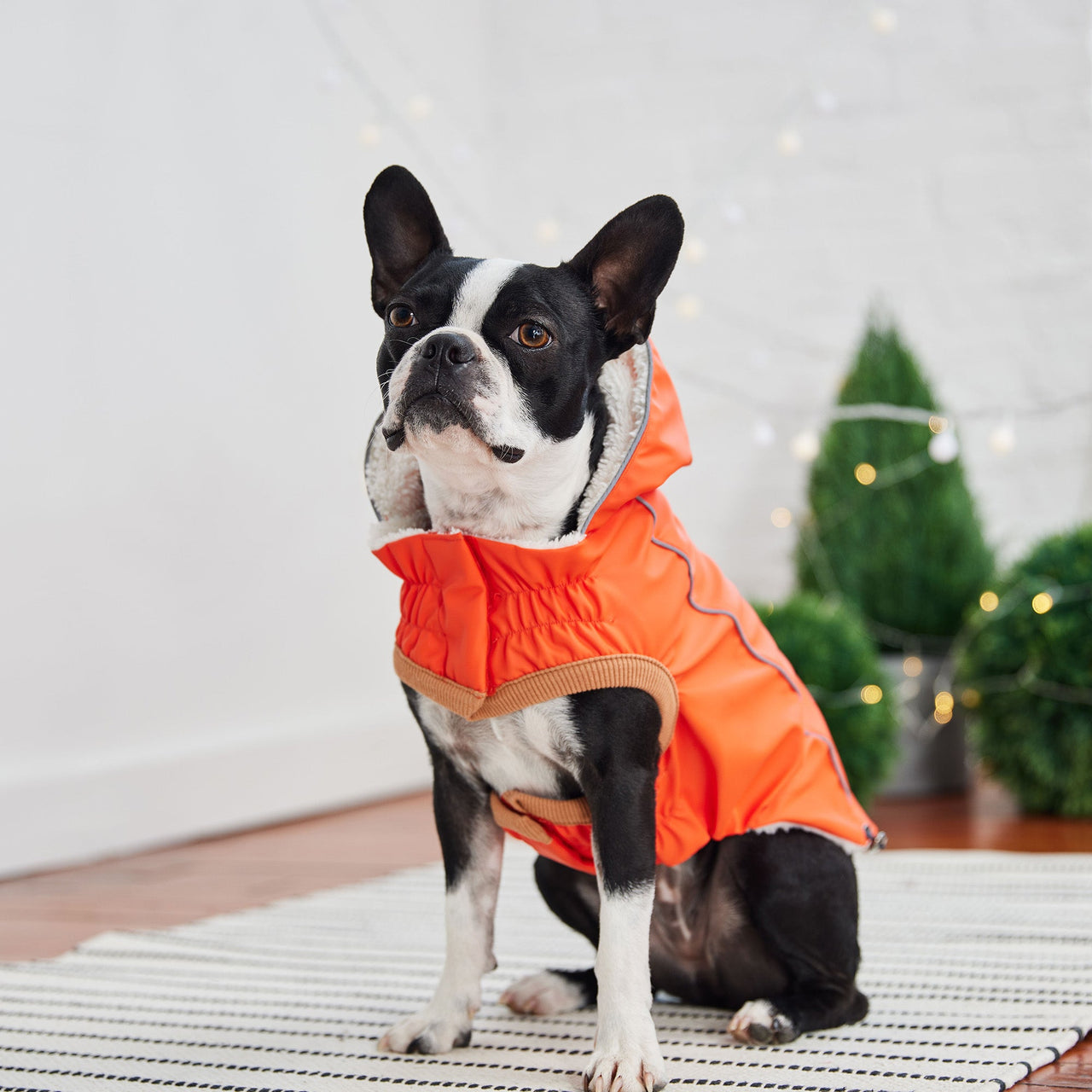 Insulated Raincoat - Orange - 9 SIZES - 1 COLOR -