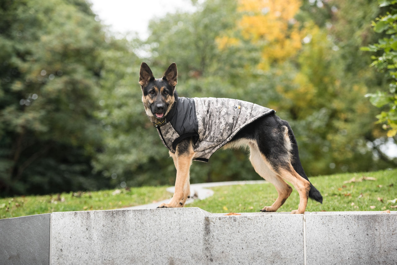 US Army Dog Jacket - Camo - 5 SIZES -