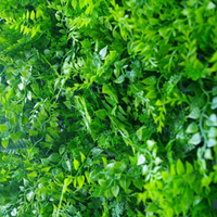 Thumbnail for Lush Fern Artificial Green Wall 40