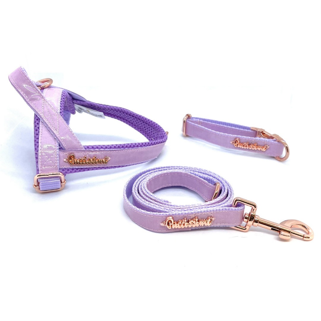 Puccissime - Lavender Collar - 4 SIZES -