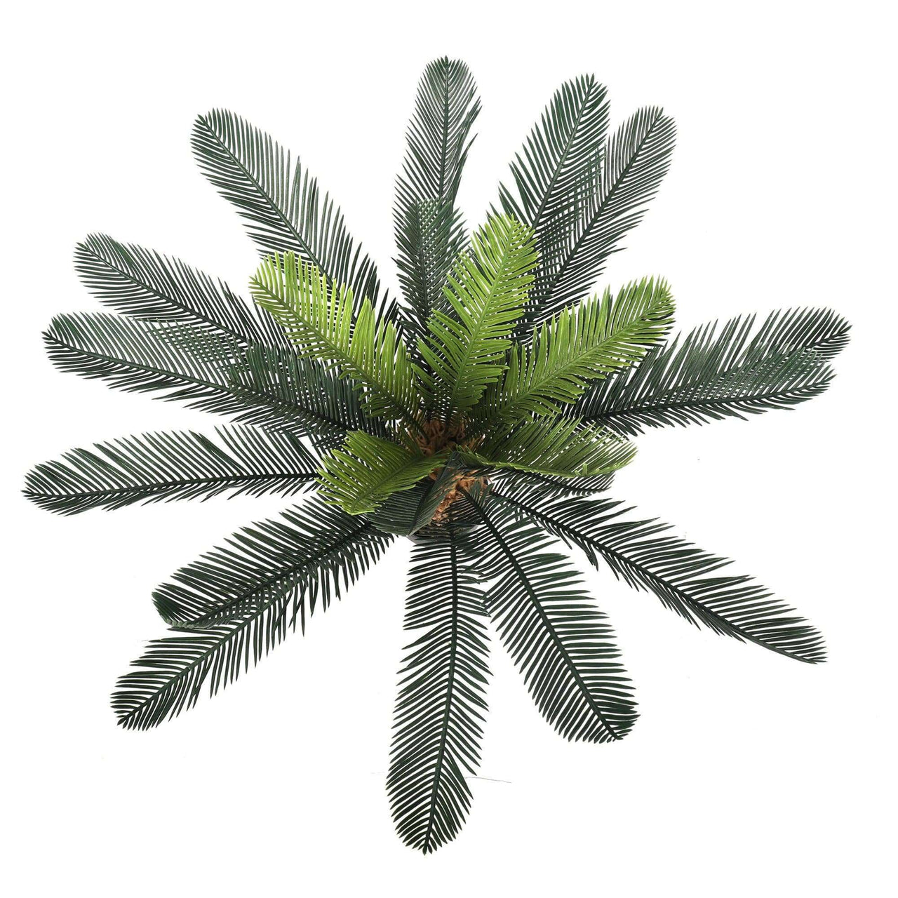 Artificial Cyac (Cycad) Plant 60cm -