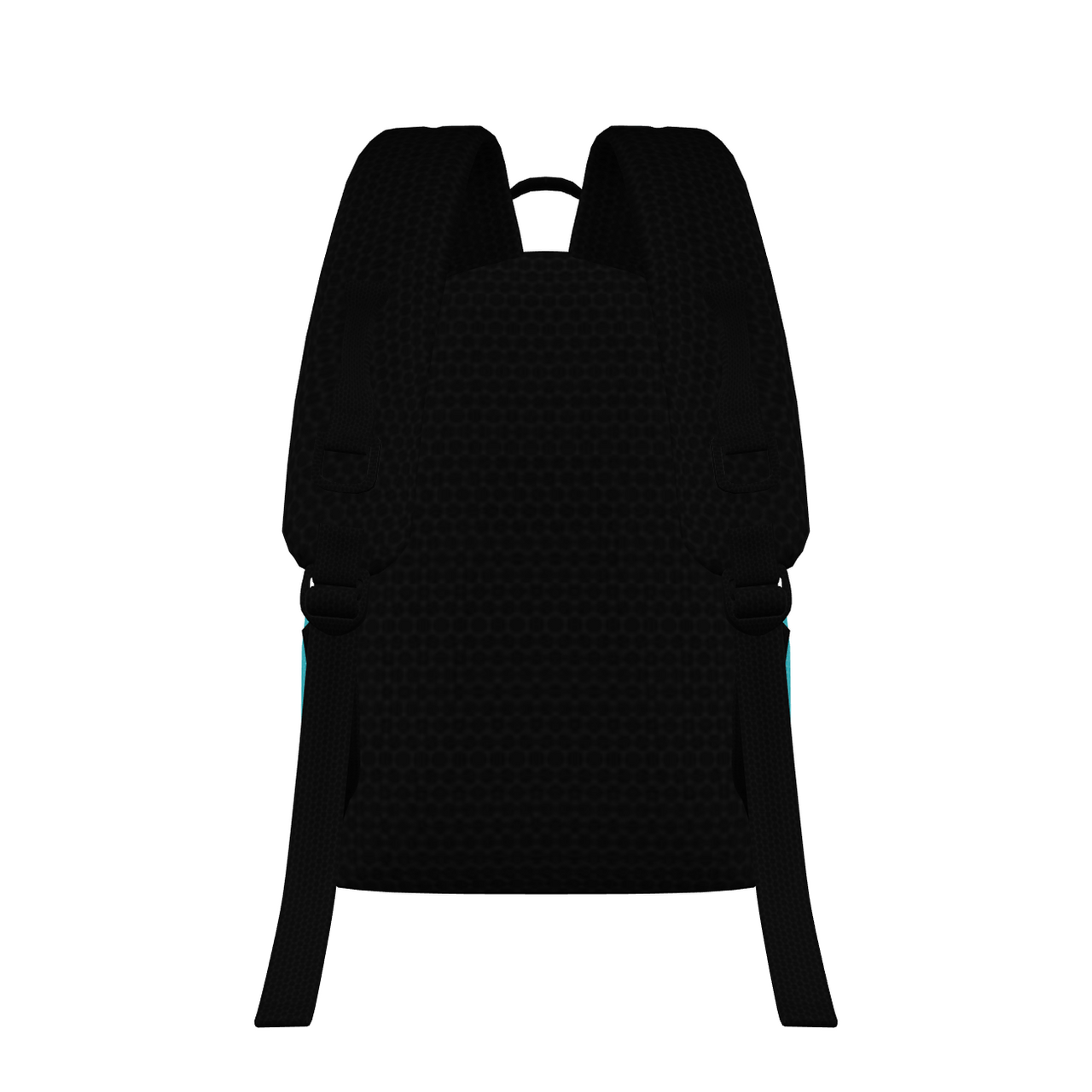 FYC - Large Padded Backpack - 1 COLOR -