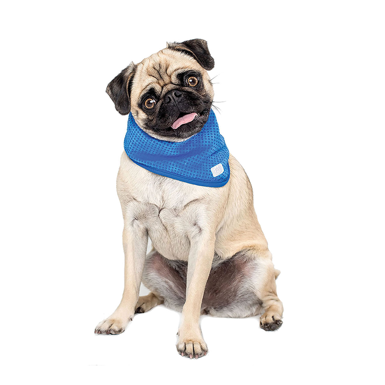 ICE BAND - Dog Cooling Bandana - 3 SIZES -