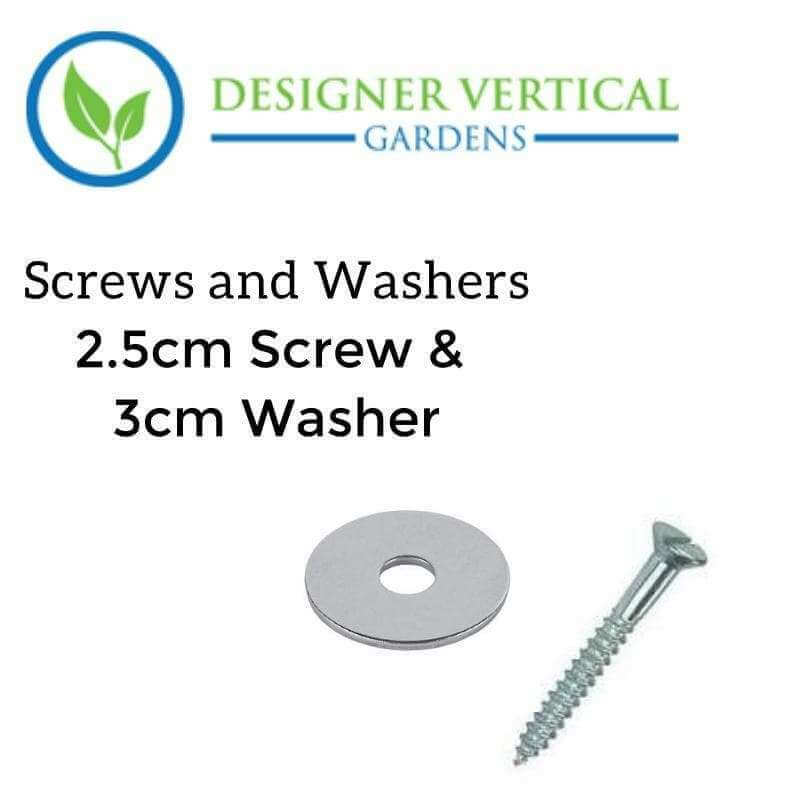 2.5cm Screw and 3cm Washer Kit (Timber and Plaster) (25 or 100 Pack) -