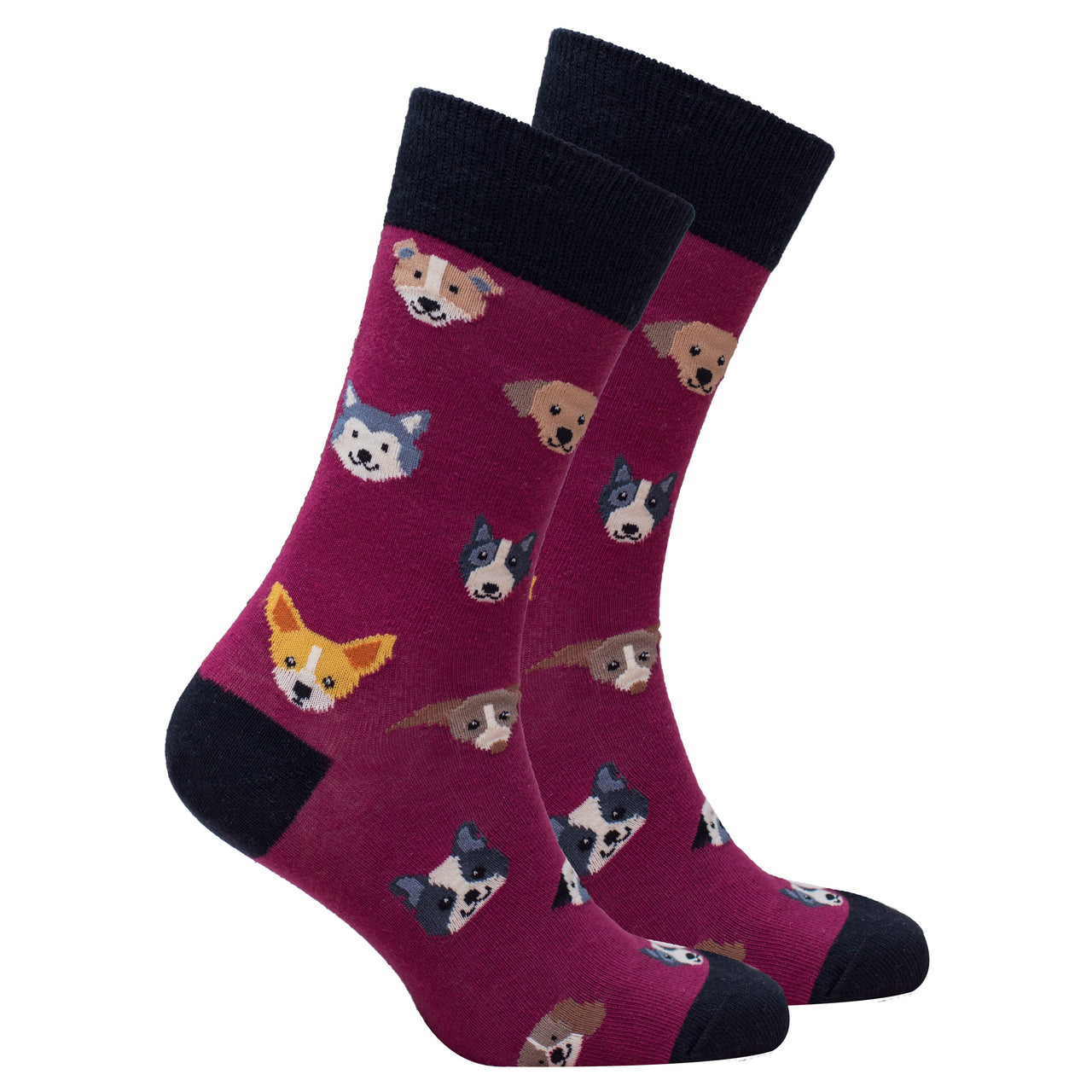 Men's Dogs Socks - 5 PACK -