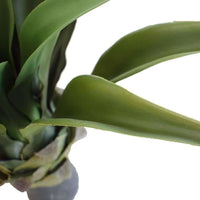 Thumbnail for Artificial Agave 50cm No Pot UV Resistant -