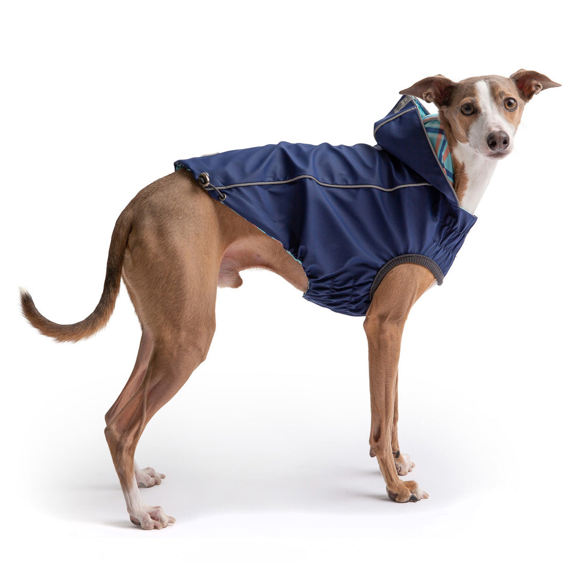 Reversible Elasto-Fit Raincoat - Navy - 9 SIZES - 1 COLOR -