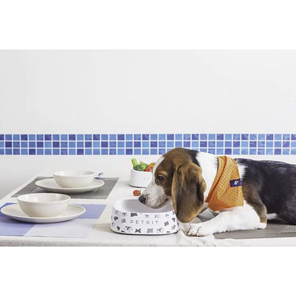 Instachew - PETKIT Fresh Bowl, Built-In Scale - [11-20 DAY DELIVERY] - 4 PATTERNS & WHITE -