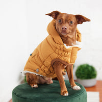 Thumbnail for Super Puff Parka - Yellow - 9 SIZES - 1 COLOR -