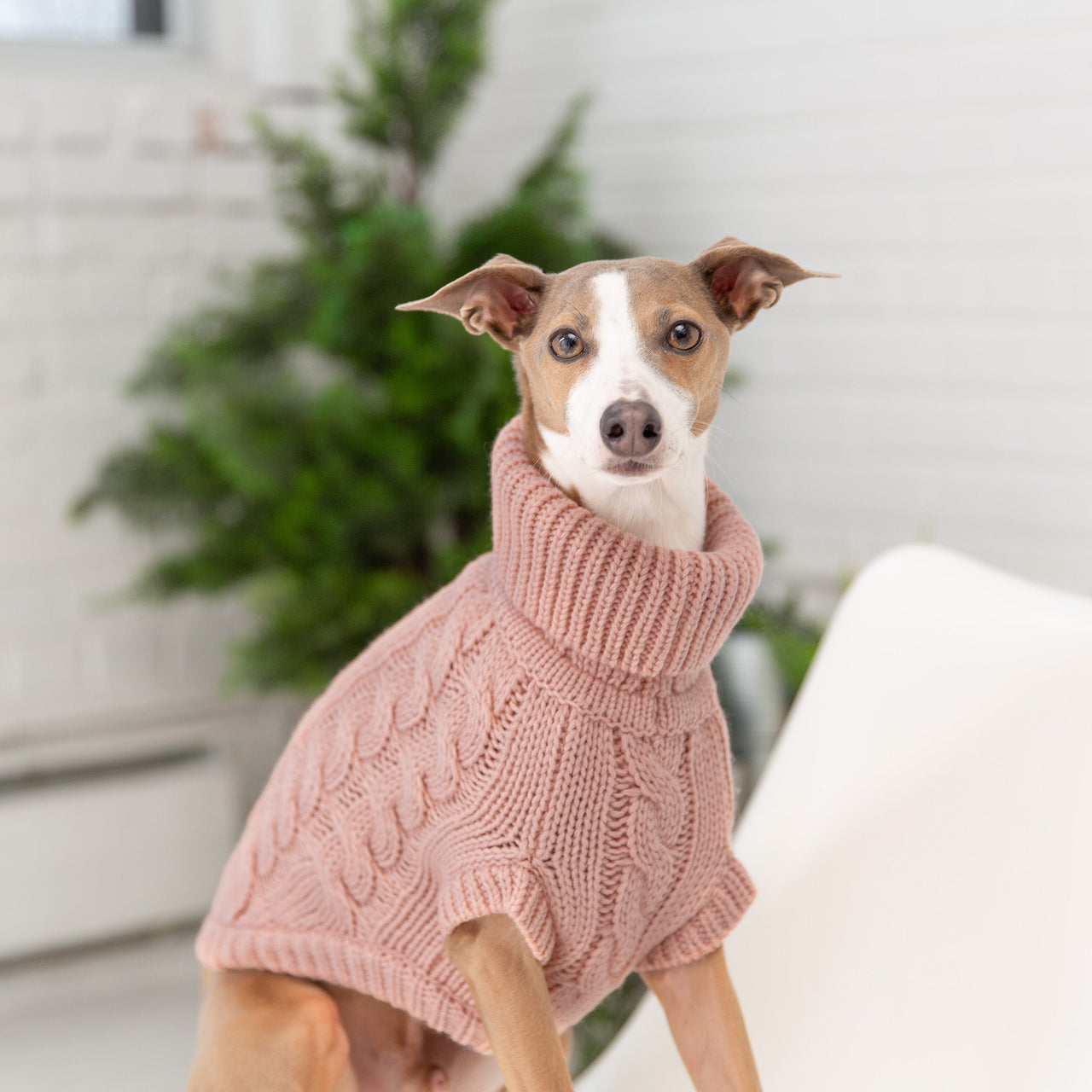 Chalet Dog Sweater - Pink - 9 SIZES -