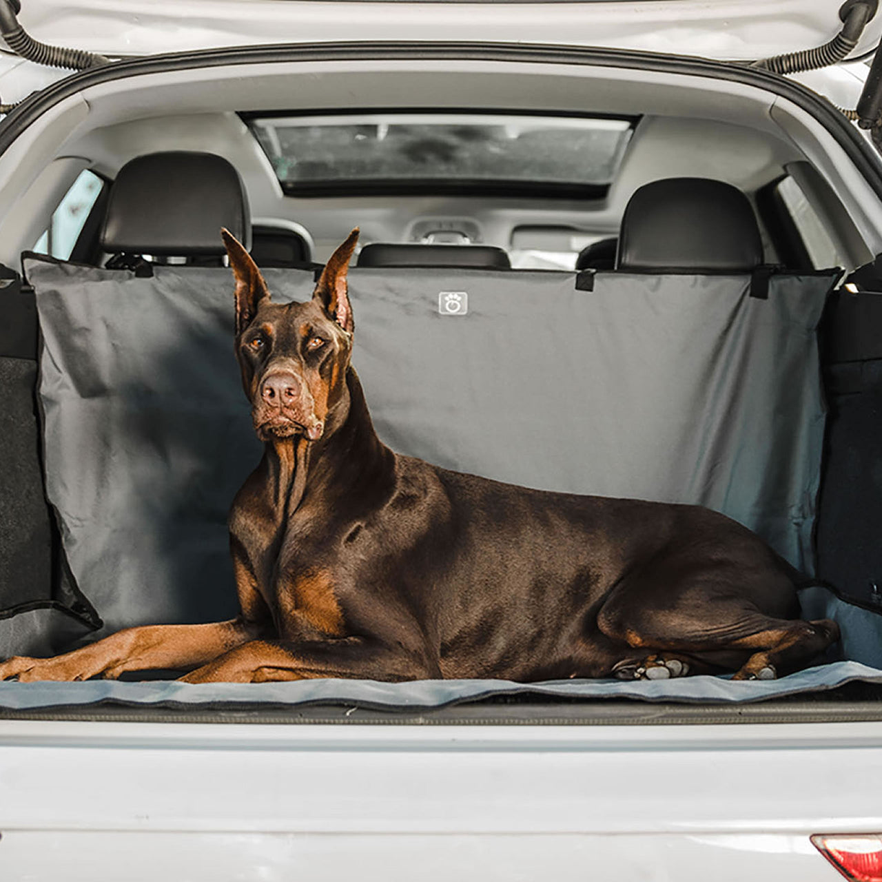 Pet Cargo Cover - 1 COLOR -